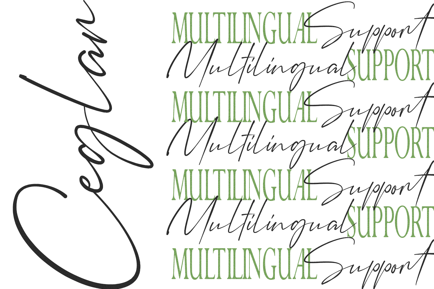 Ceglar – Font Trio Unique Styles