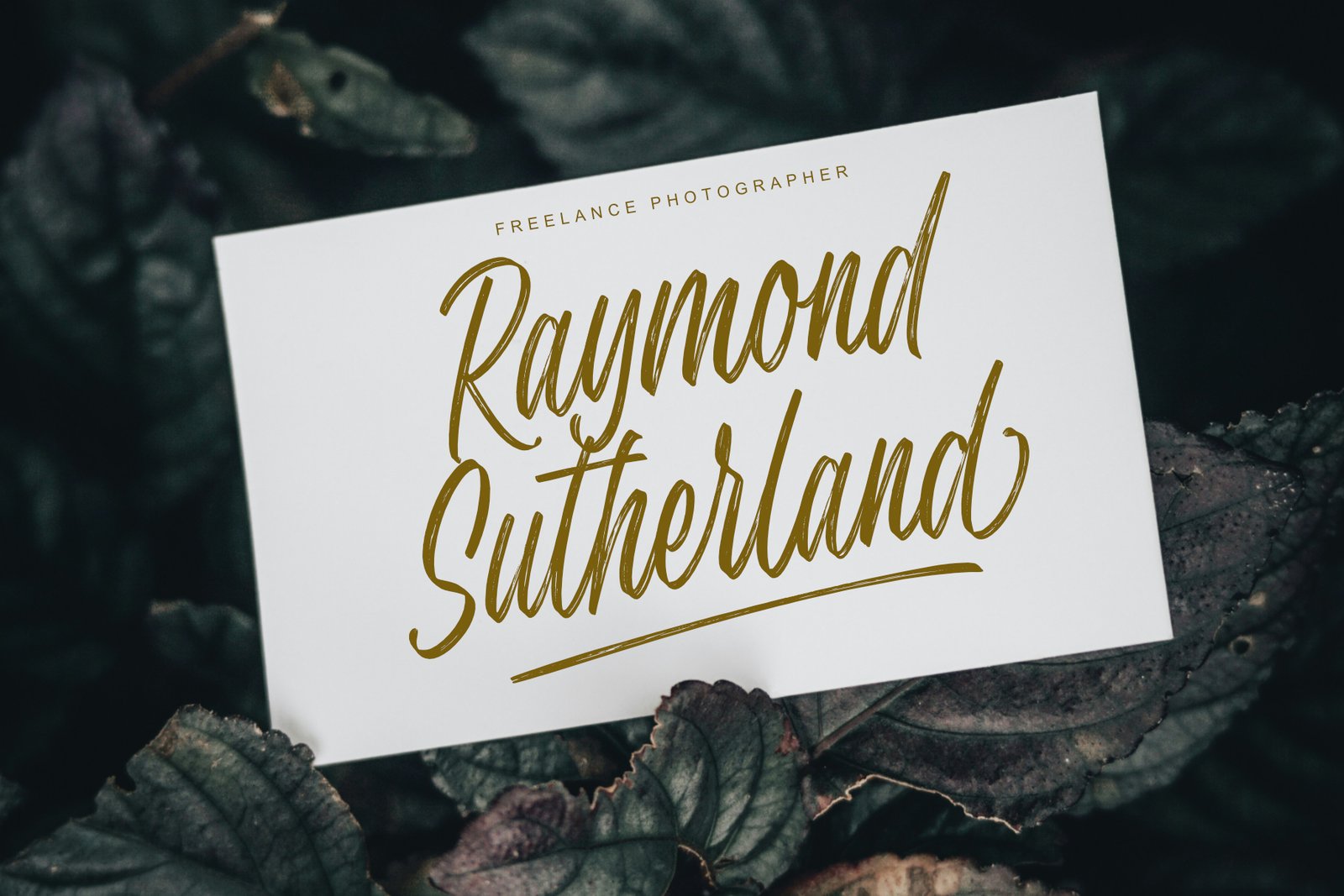 Secret Intentions Font