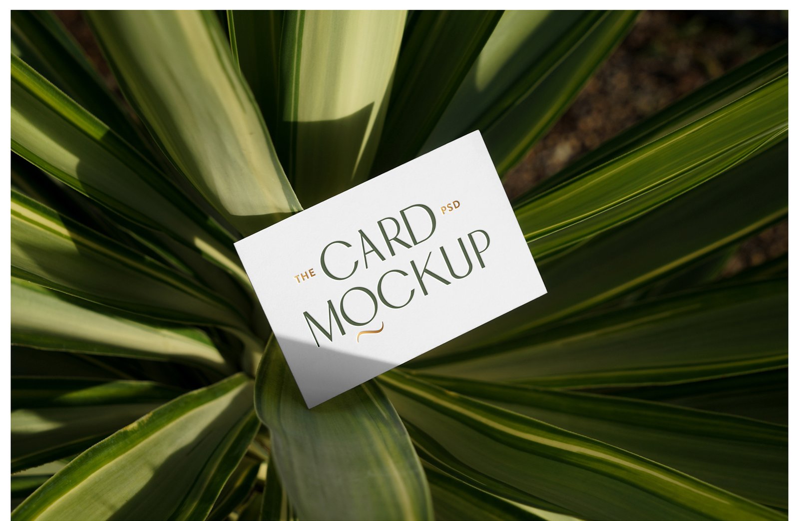 Outdoor Business Card Mockups