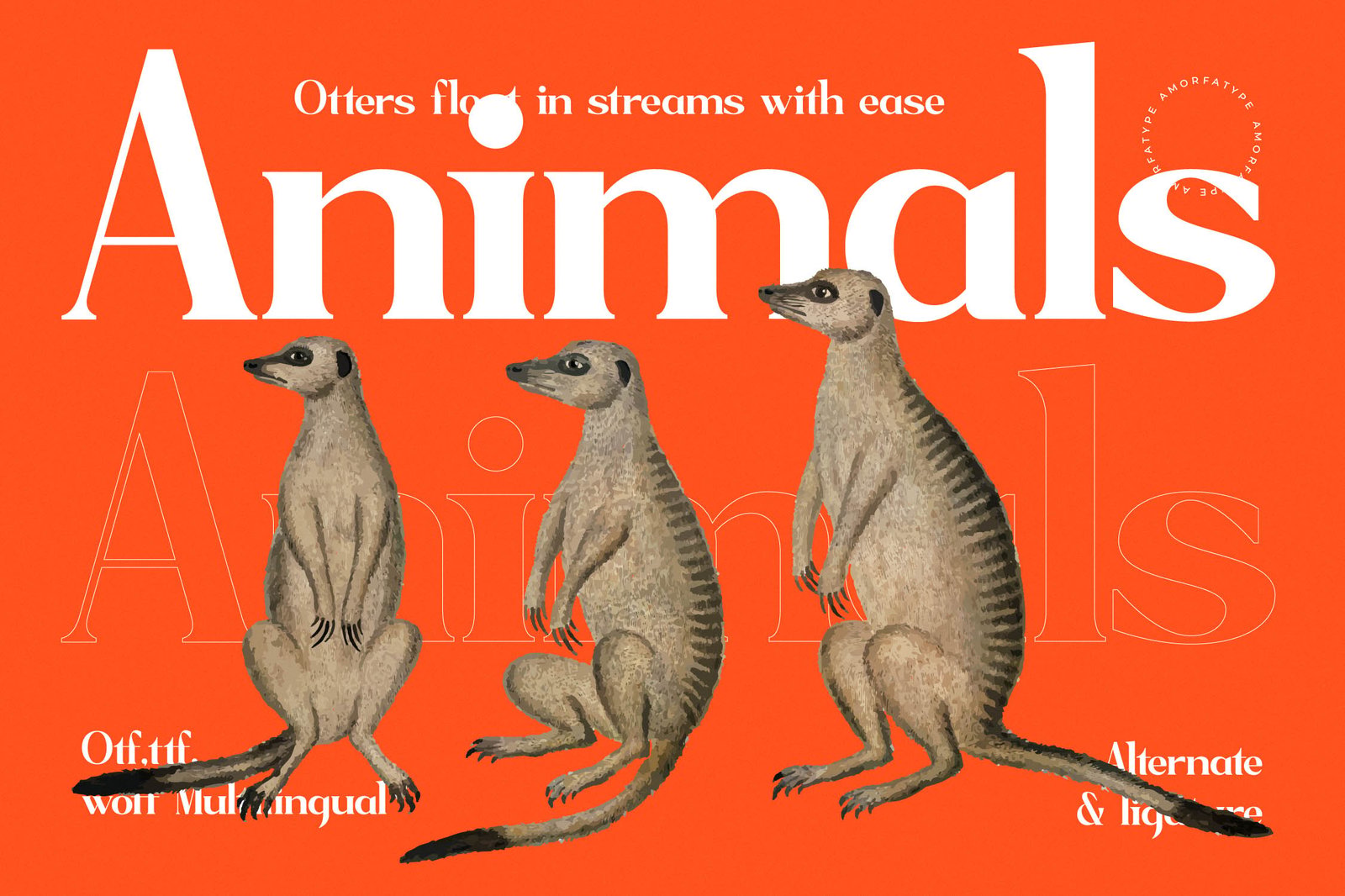Sagfield Modern Serif