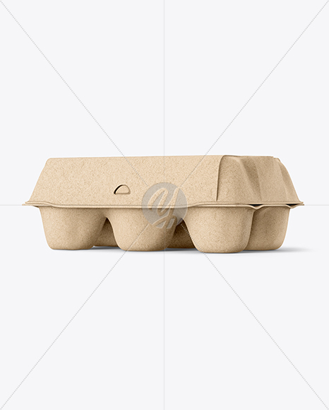 Egg Carton Packaging Mockup