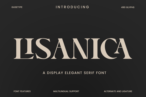 Lisanica - Display Serif Font - Branding serif font