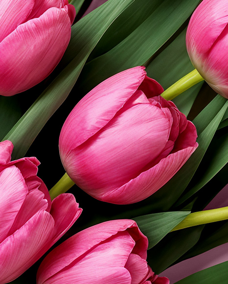 Flower Bouquet Mockup