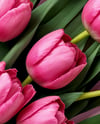 Flower Bouquet Mockup
