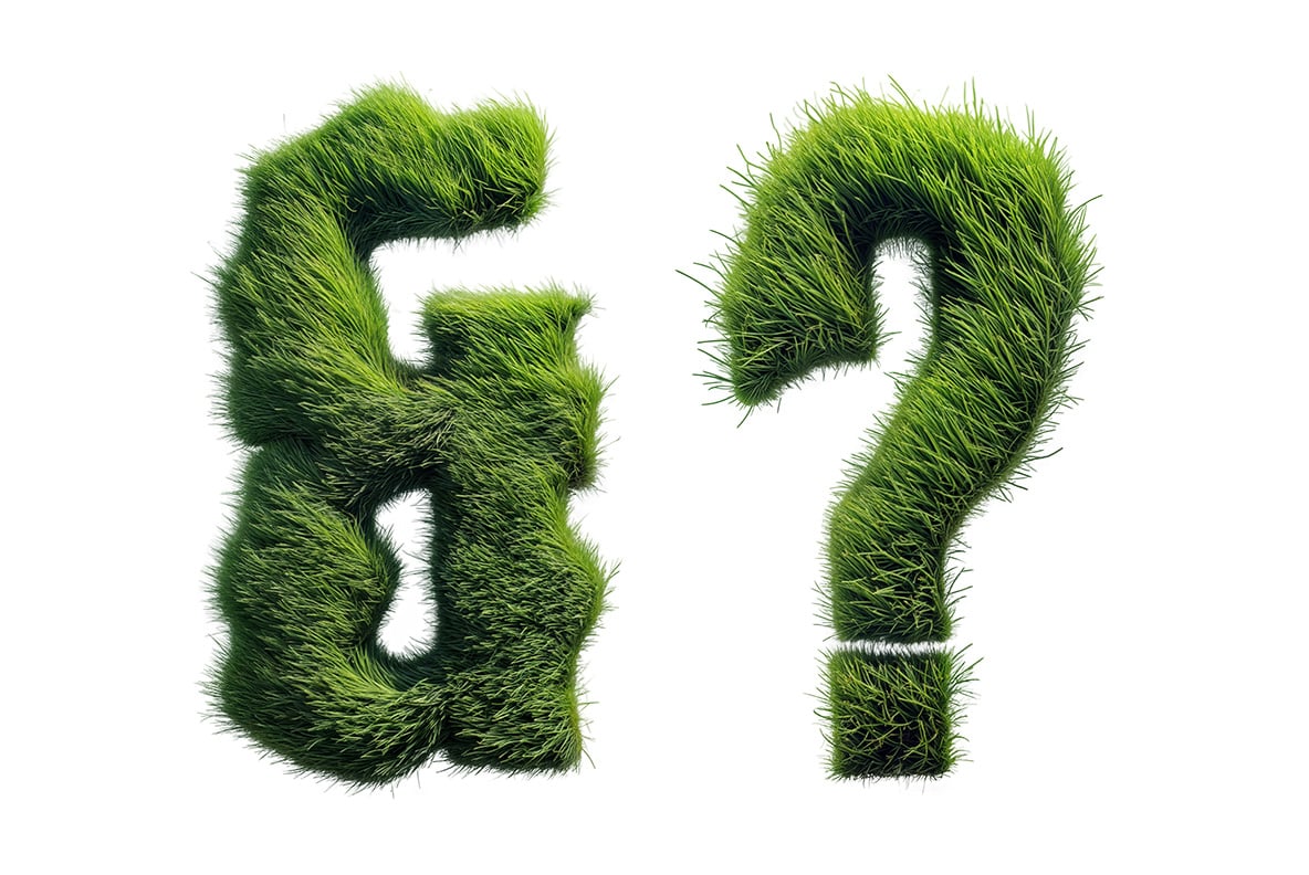 Grassland Font