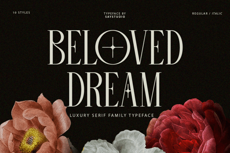 Beloved Dream - 10 Family Font - Stylish fonts