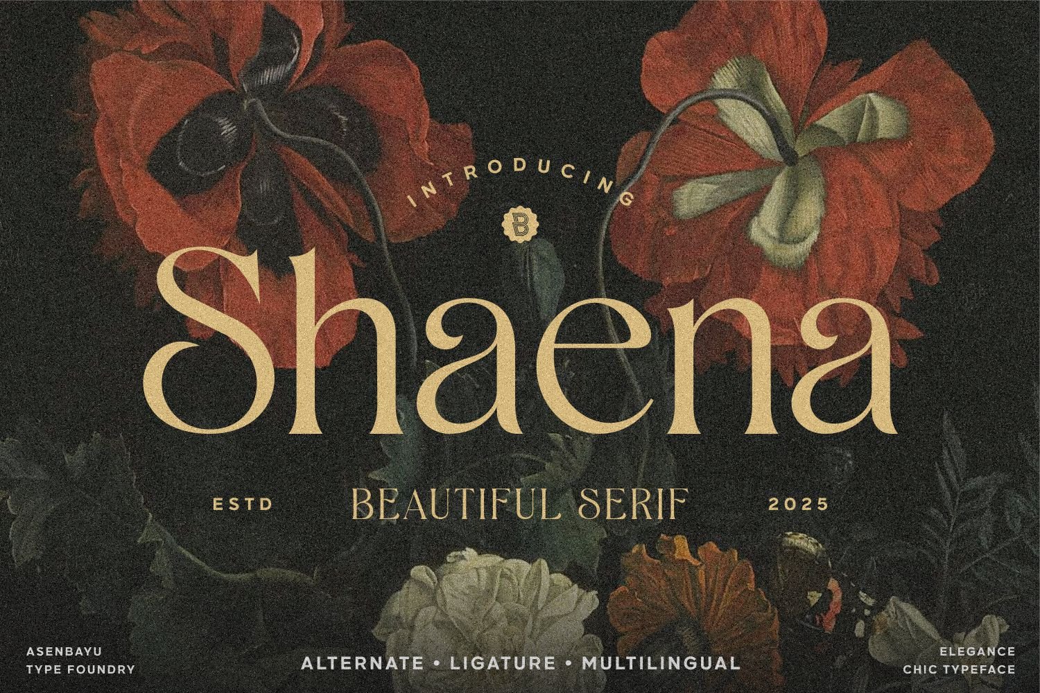 Shaena - Beautiful Serif