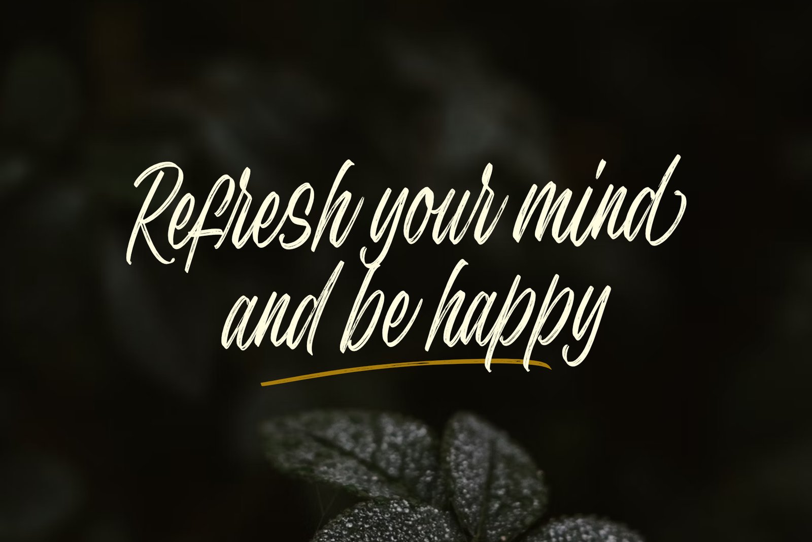 Secret Intentions Font