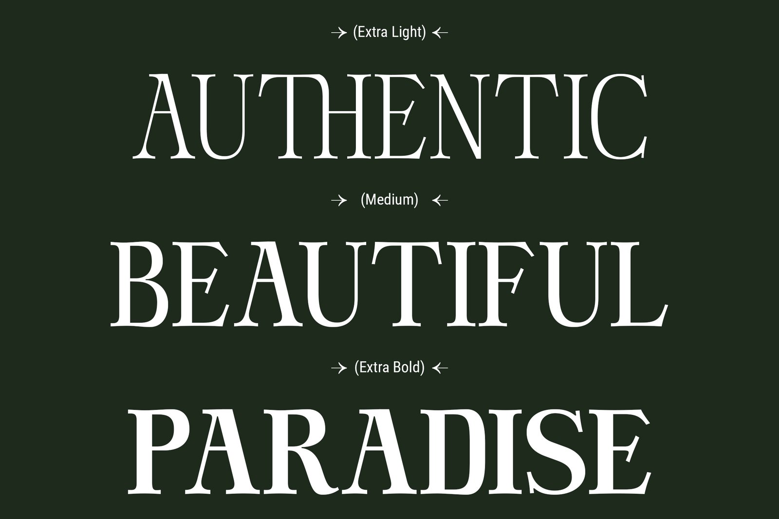 DT Hebrinks Typeface