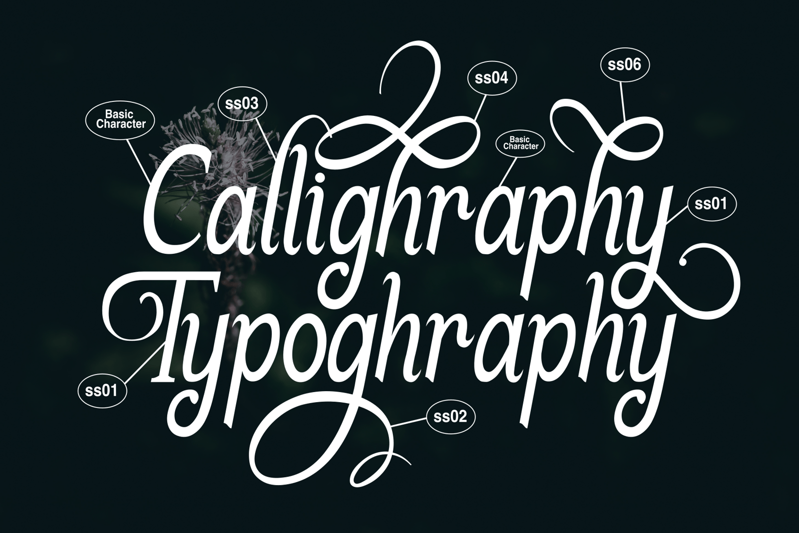 Nabilans - Serif font