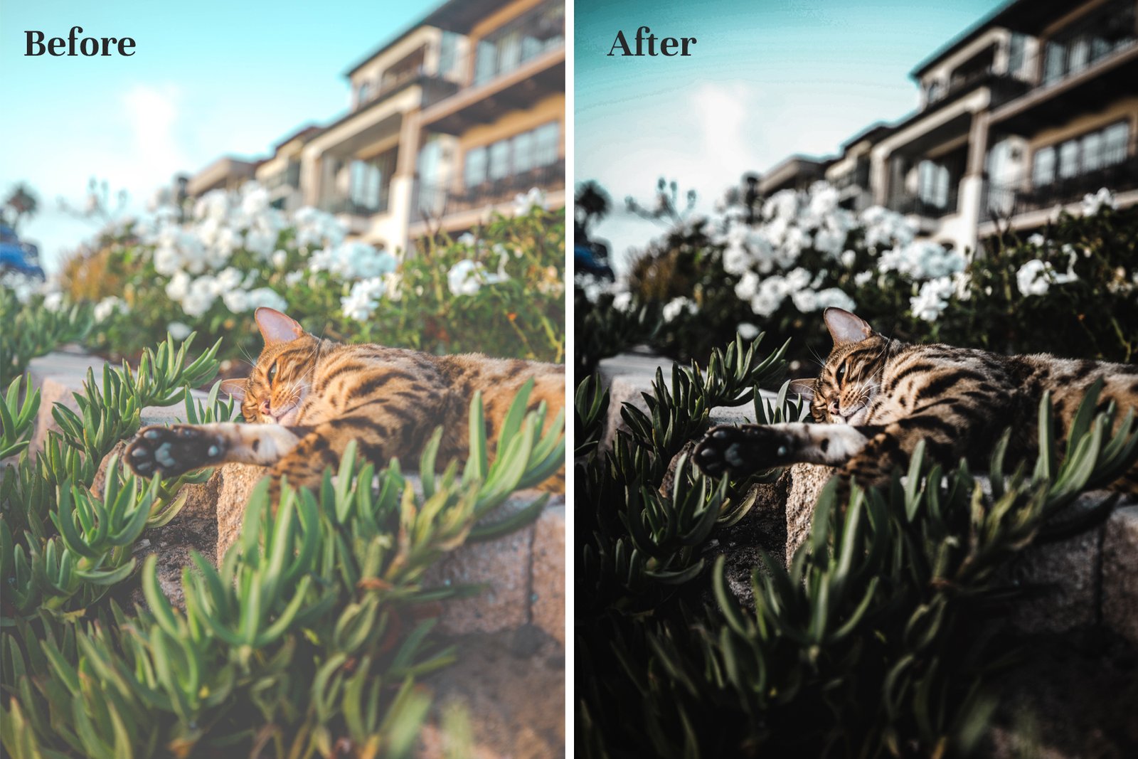 Dark &amp; Moody - Lightroom Presets for Mobile and Desktop