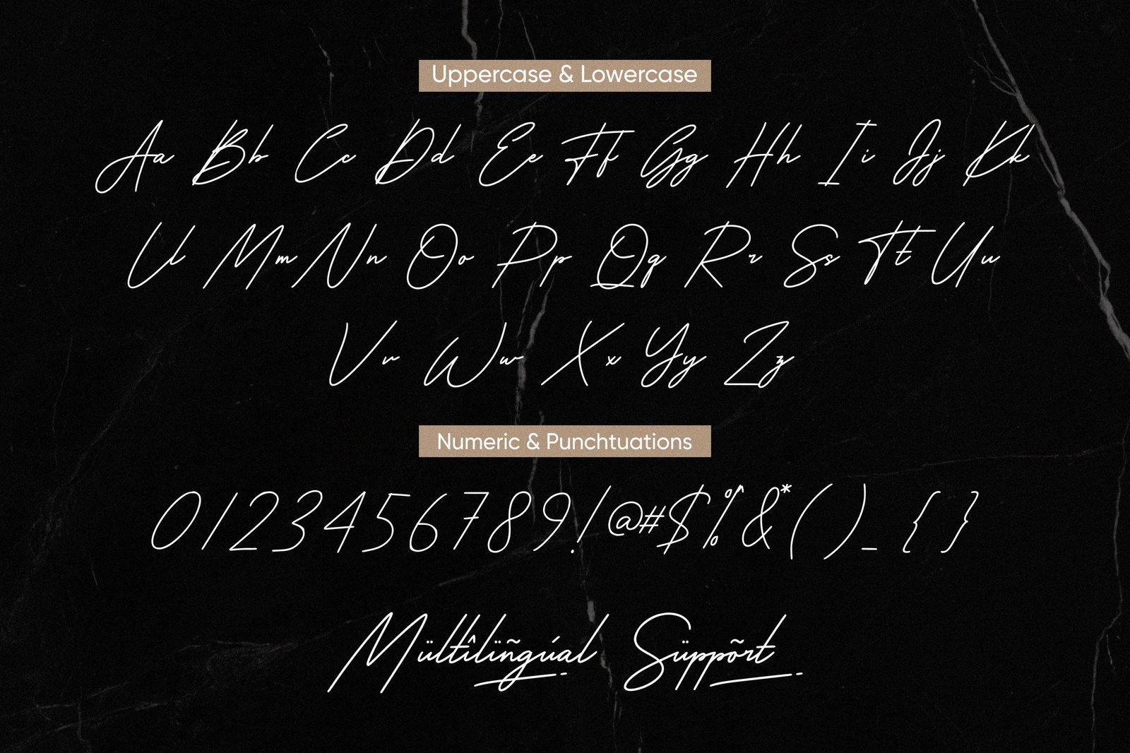 American Signature - Casual Monoline Signature Font
