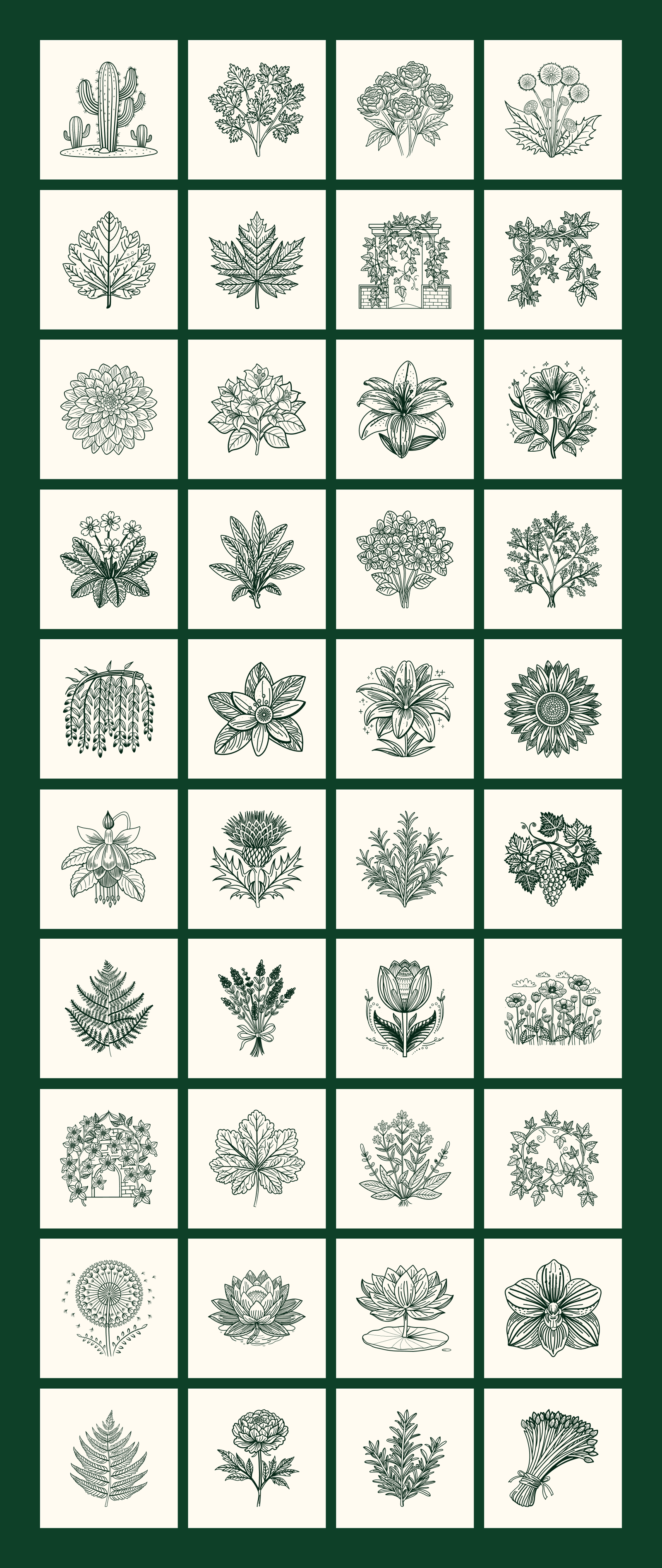 Vintage Nature Illustrations Bundle