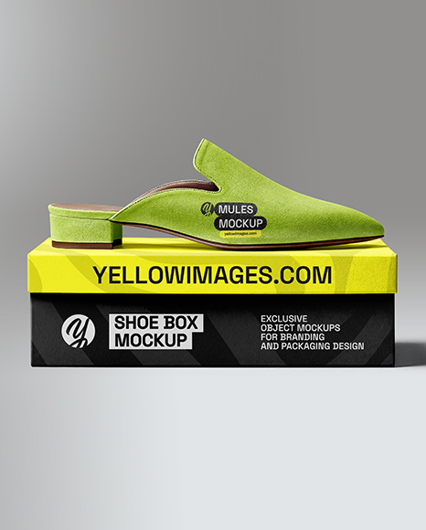 Mule on Shoe Box Mockup