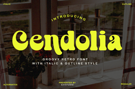 Cendolia | Groovy Retro Font - Magazine font