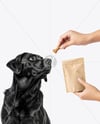Dog and Hand Holding Stand-Up Pouch Mockup