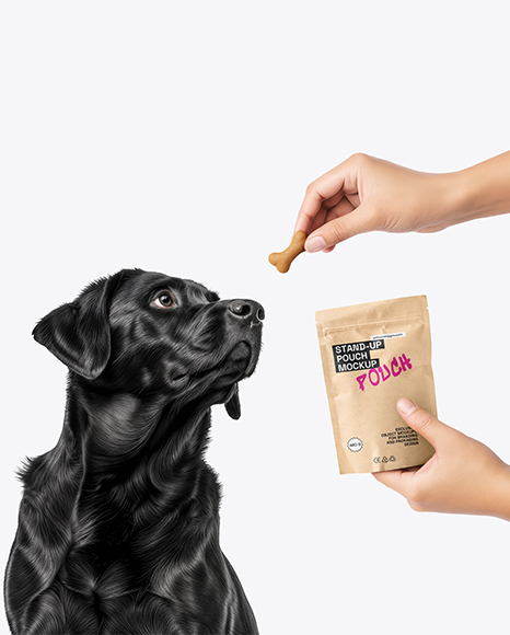 Dog and Hand Holding Stand-Up Pouch Mockup
