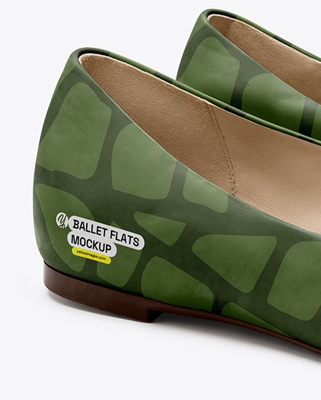 Pair of Leather Ballet Flats Mockup
