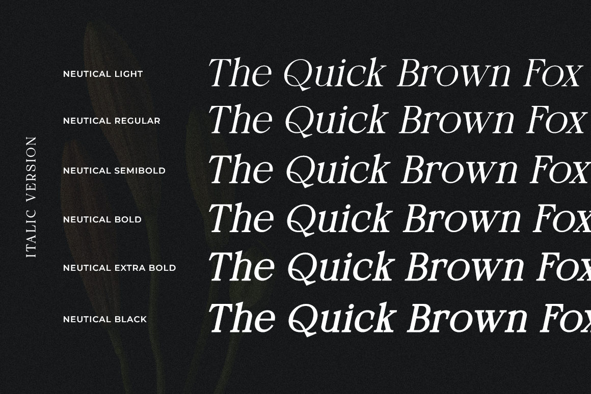 Neutical 6 Weight Serif Family