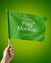 Flag in a Hand Mockup