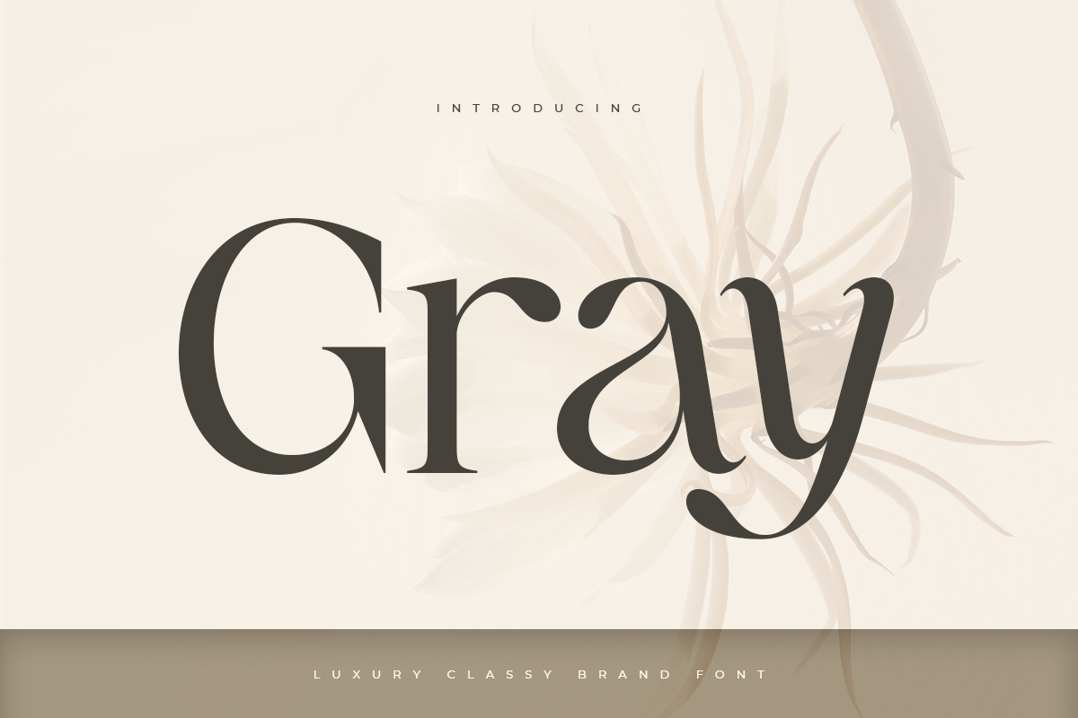 Gray - Luxury Classy Brand Font