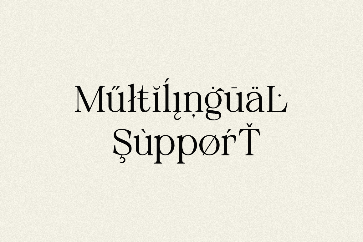 Neutical 6 Weight Serif Family