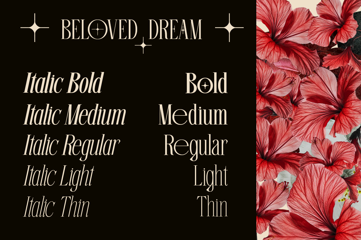 Beloved Dream - 10 Family Font