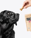 Dog and Hand Holding Stand-Up Pouch Mockup