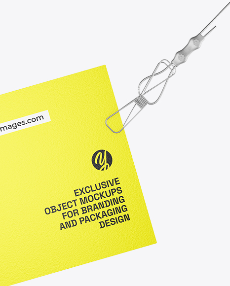 Business Card Mockup