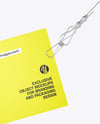 Business Card Mockup