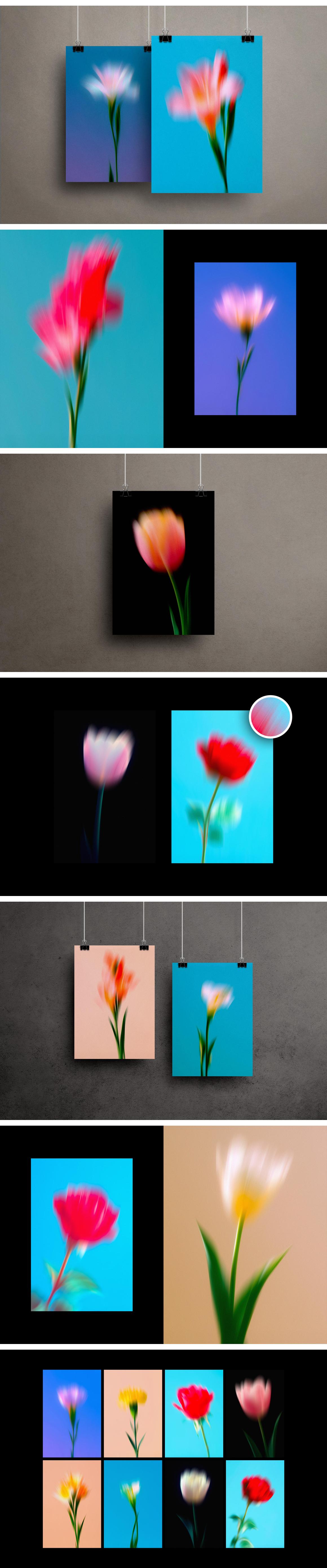 Dream Haze: Abstract Flower Posters Collection