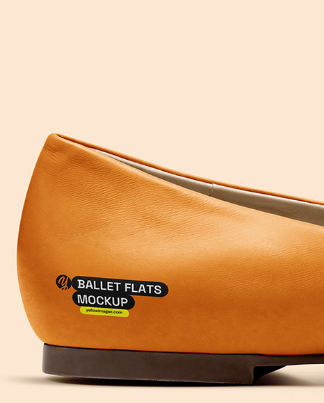 Leather Ballet Flat Mockup