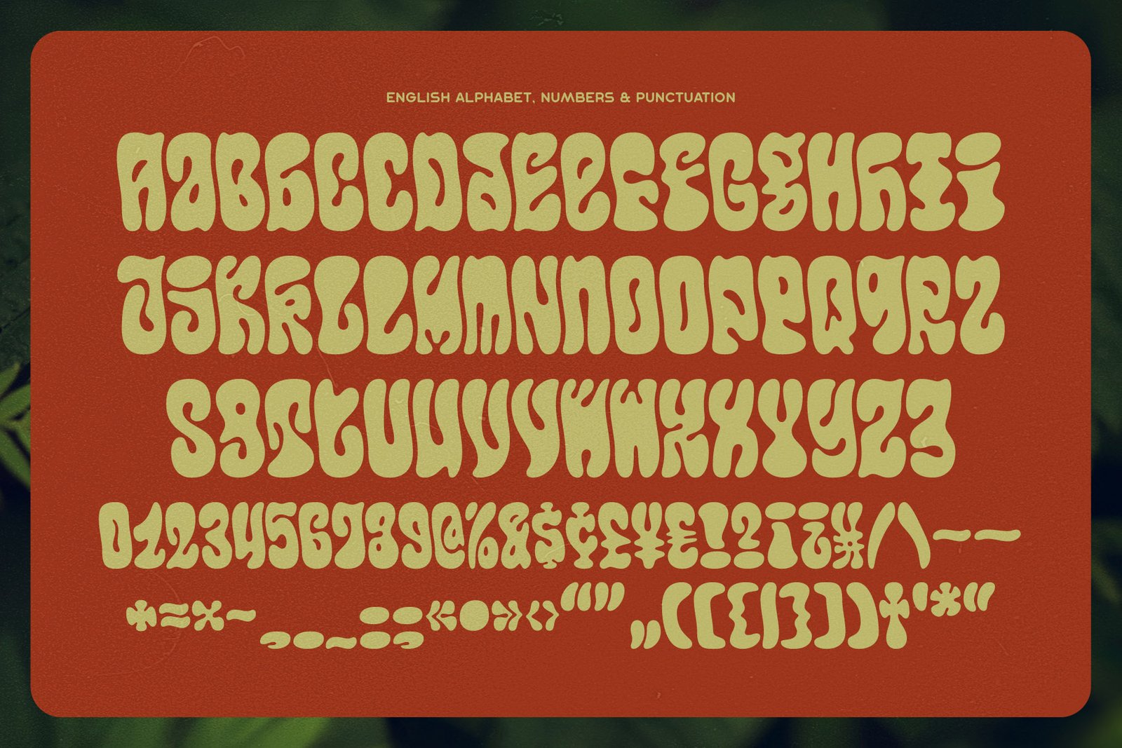 Callidryas Font