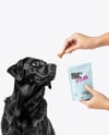 Dog and Hand Holding Stand-Up Pouch Mockup