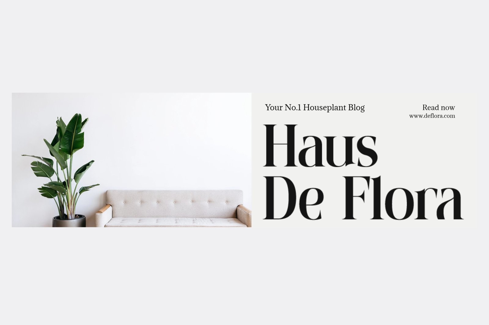 Shanolia for Luxury Branding