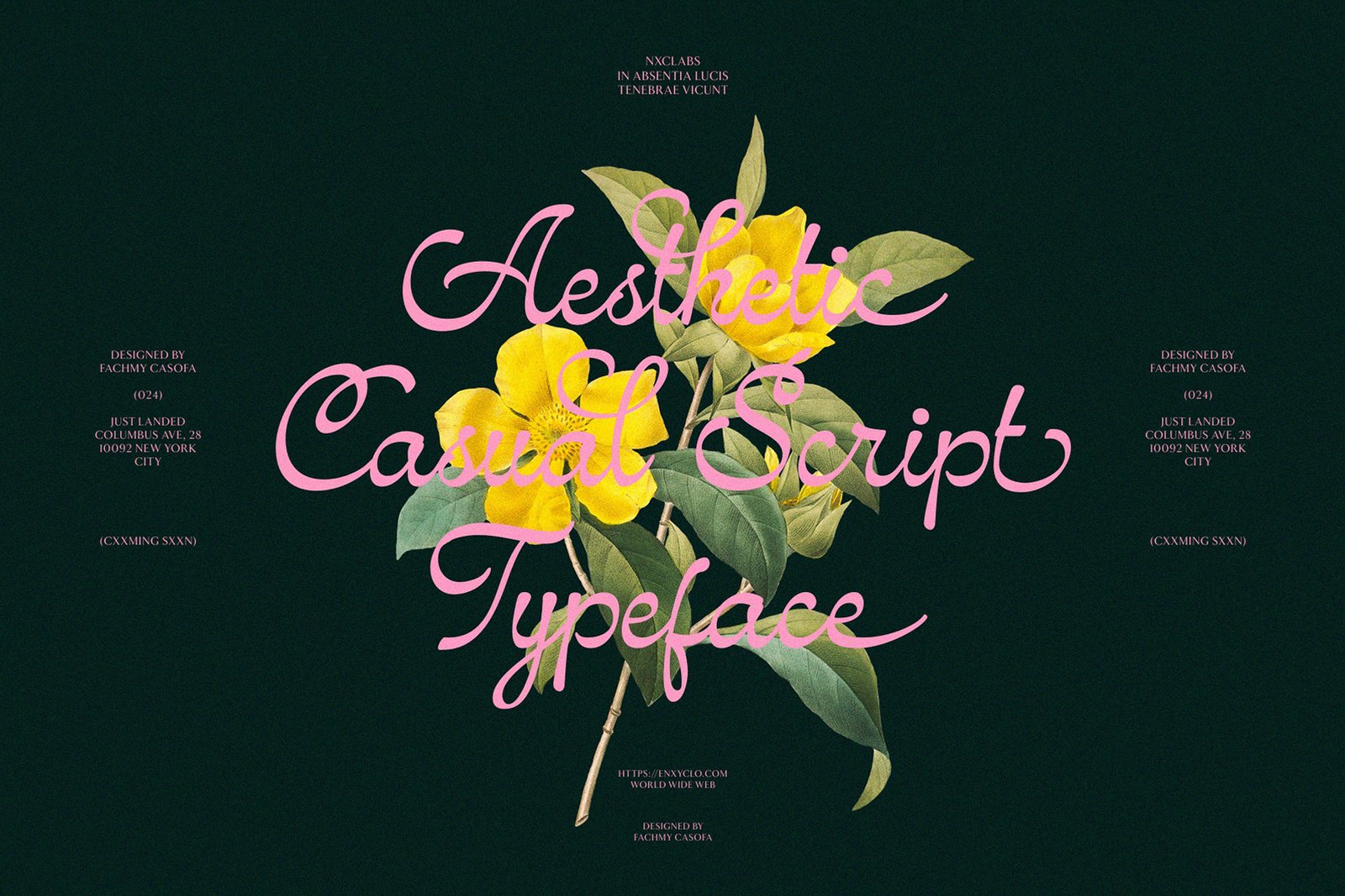 NCL Amhiney - Casual Script Font