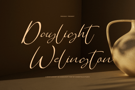 Daylight Welington - Elegant Script Font - Modern wedding