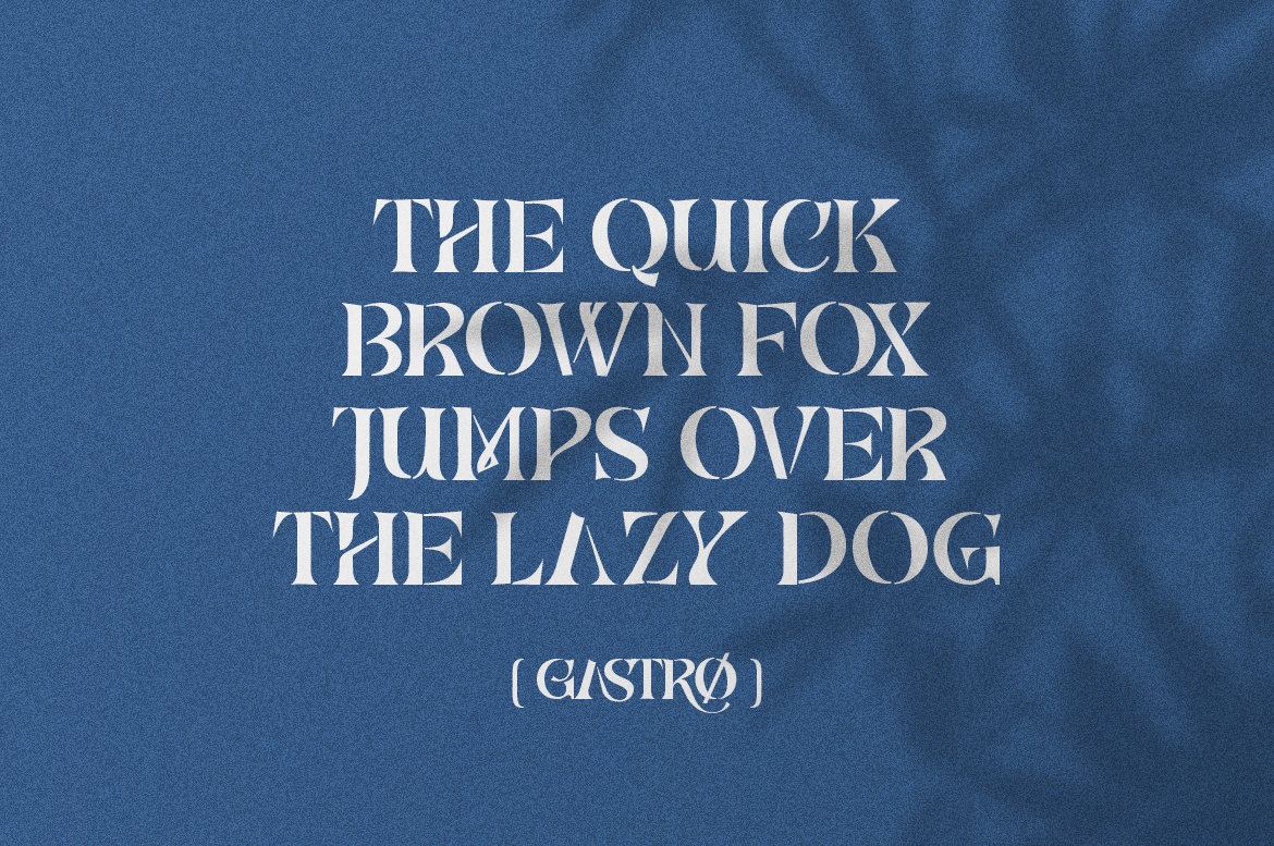 Gastro - Unique Serif Font