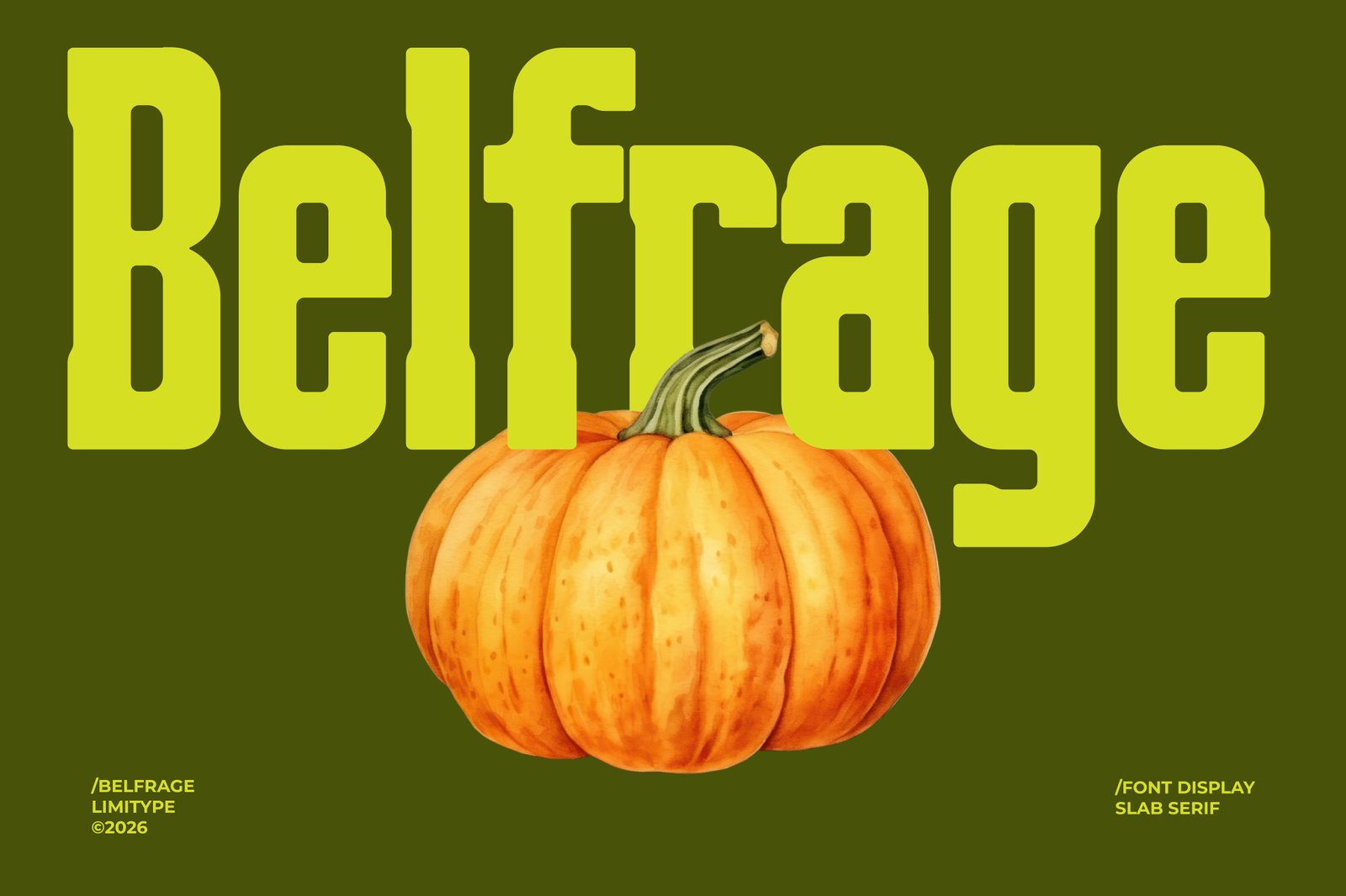 Belfrage - Slab Serif Font