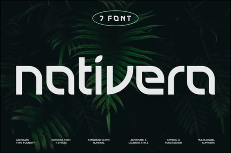 Nativera Font Family - Cool Fonts