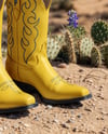 Pair of Women's Cowboy Boots Mockup
