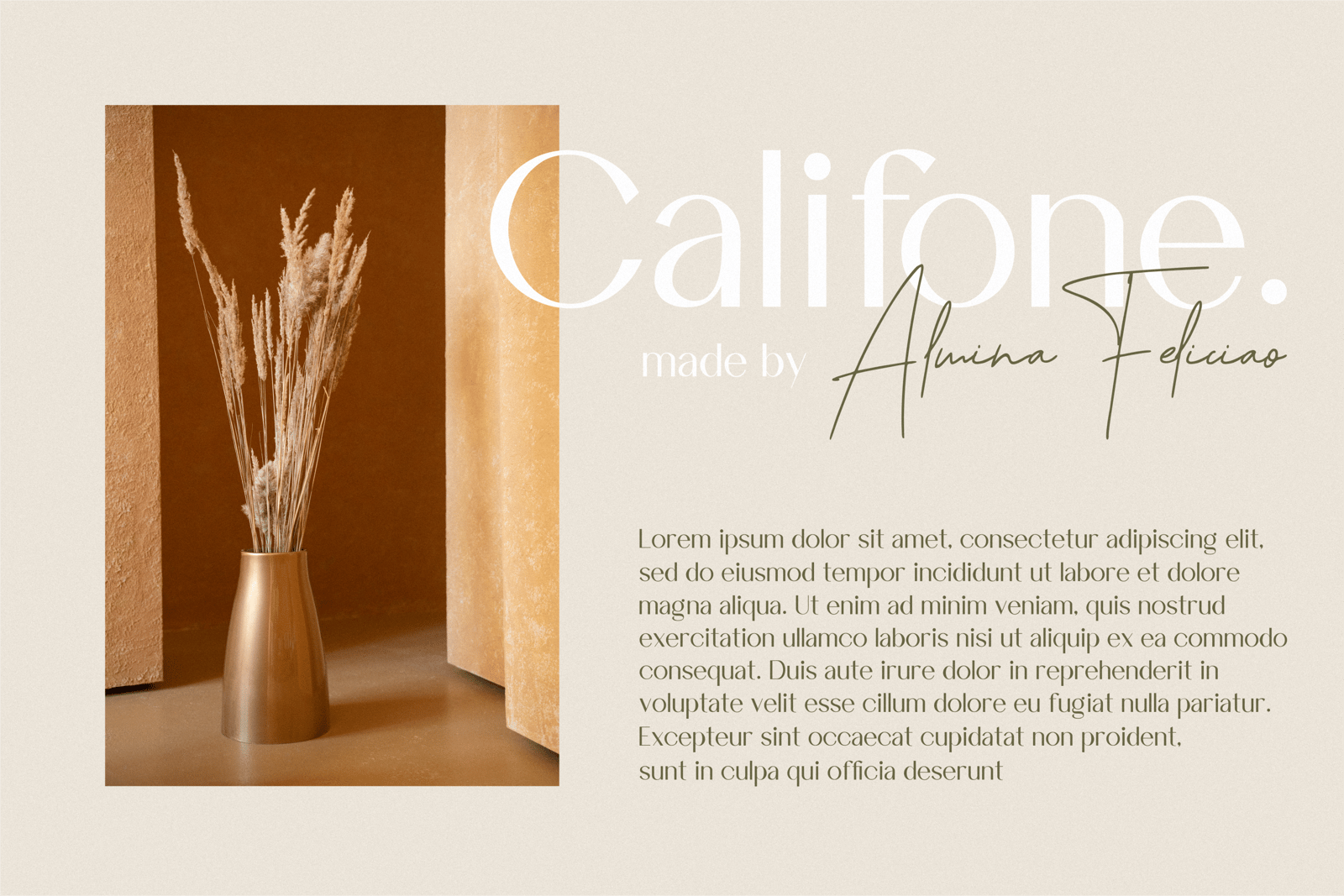Chovilane Signature Austine - Duo Font, Sans and Signature Font