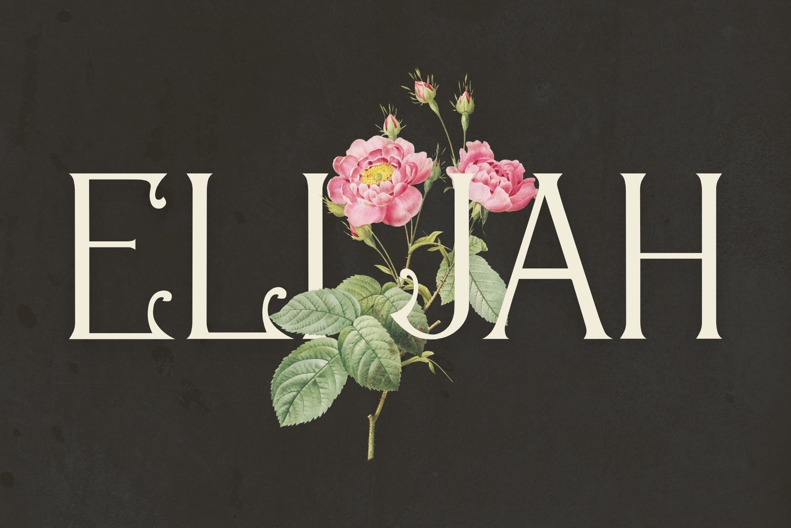 Ageless Heritage - Early 1900&#039;s Typeface