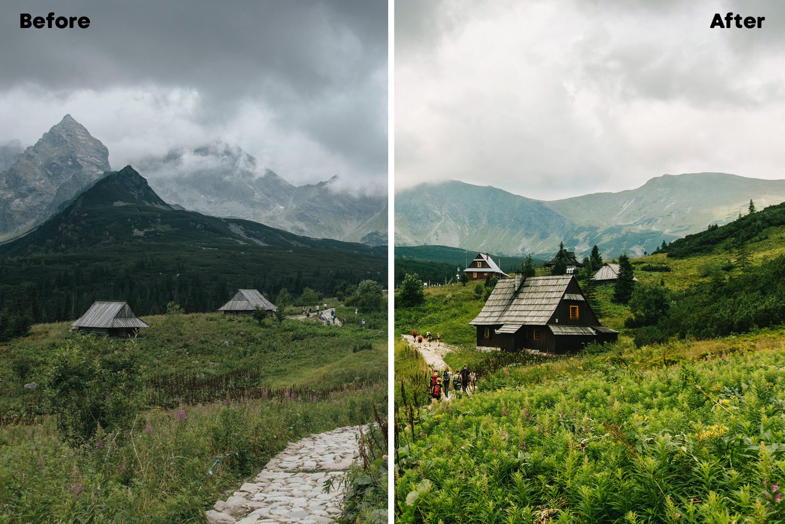 Kodak Portra - Lightroom Presets