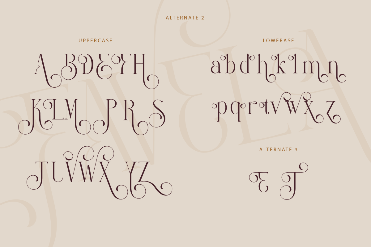 Favela Font