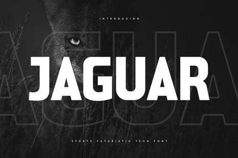 Jaguar - Sports Futuristic Tech Font - Tech font