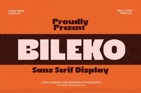 Bileko – Bold Modern Sans Serif Display - Modern modern font
