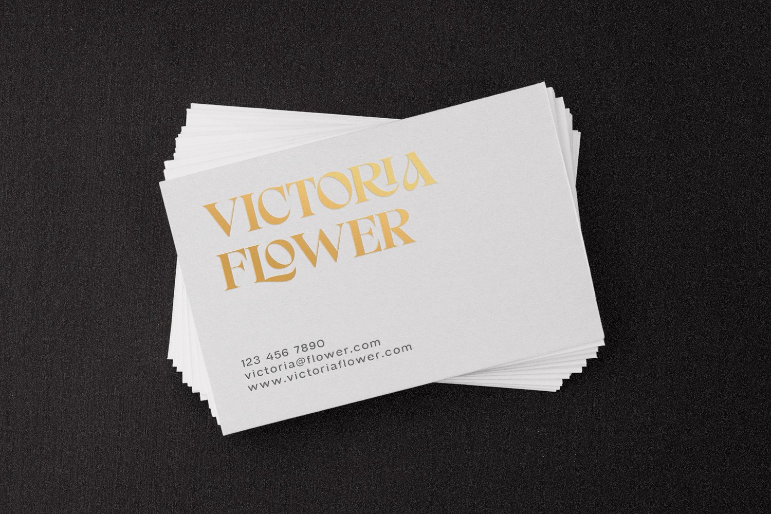 VORCE DISPLAY - A Serif Font