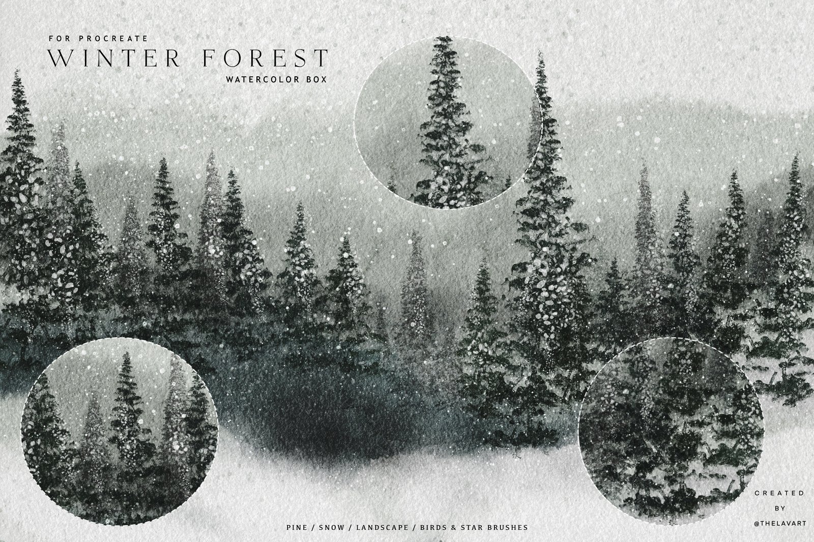 Winter Forest Box for Procreate