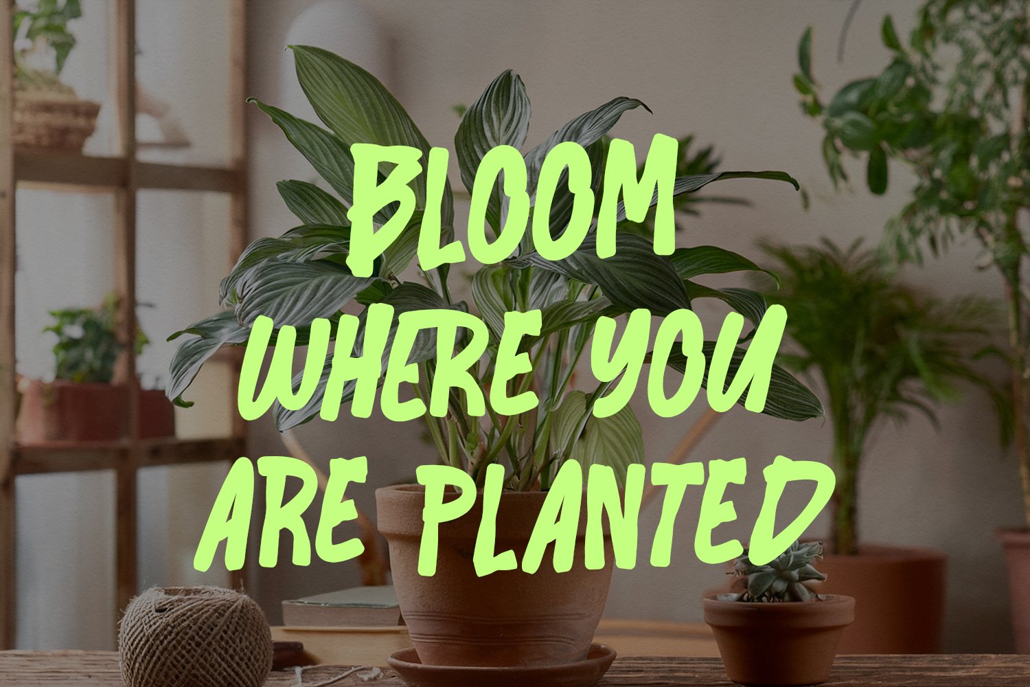 Lemert Morlet - Bold Playful Display Font